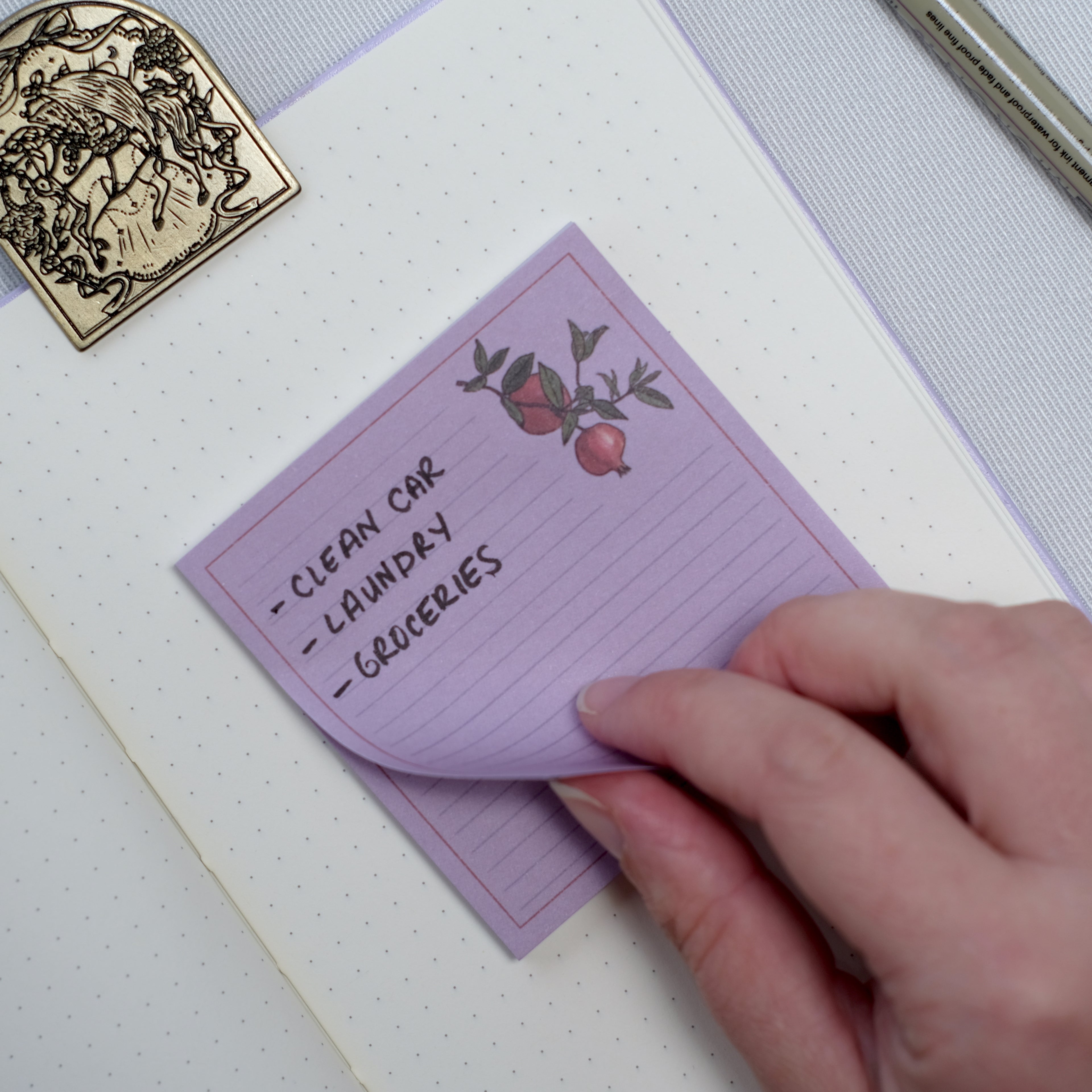 Pomegranate Sticky Notes