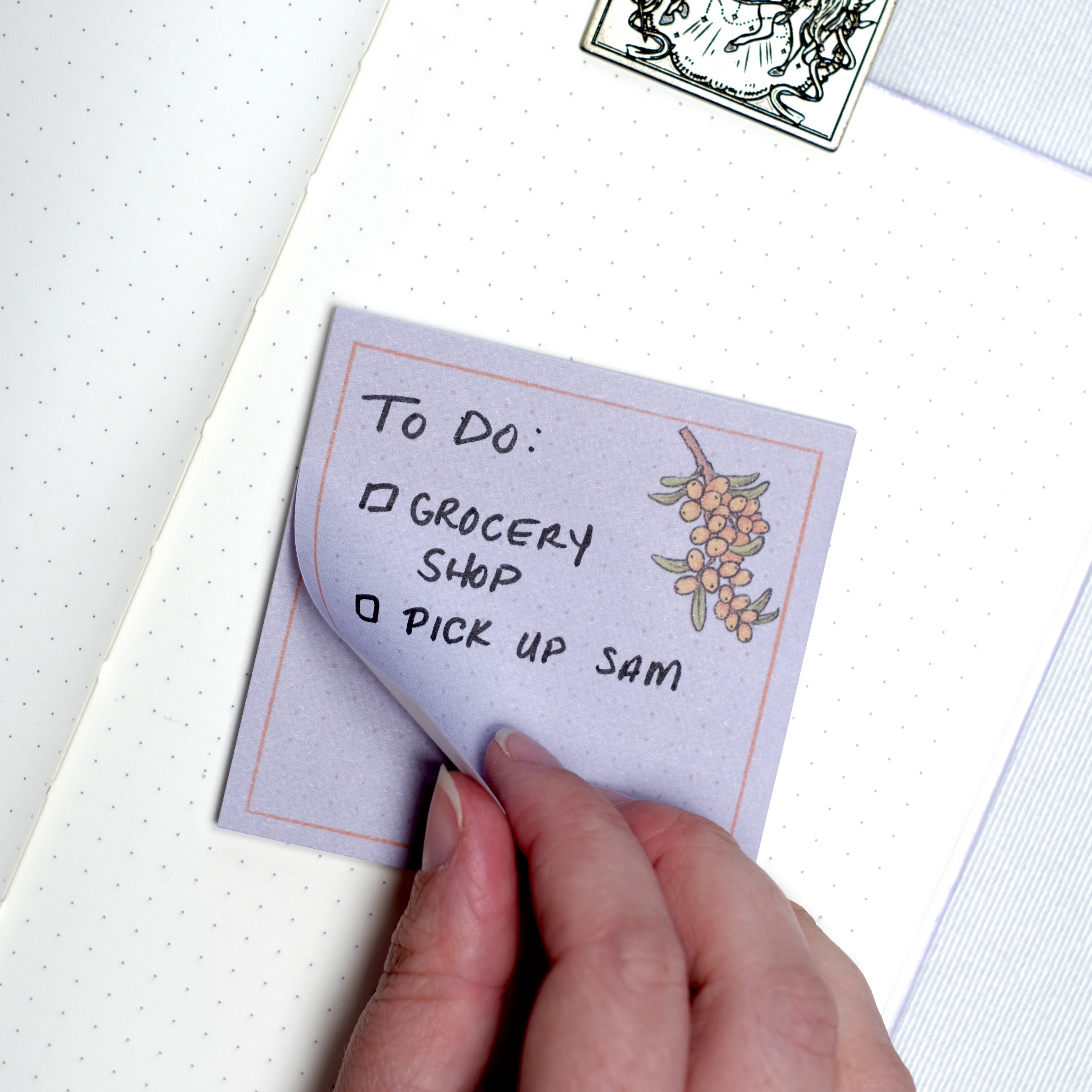 Seaberry Sticky Notes