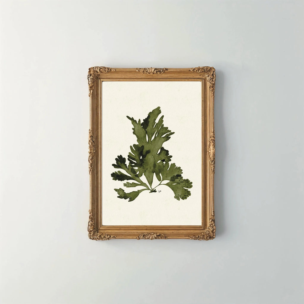 Dulse Seaweed Watercolour Print 8" x 10"