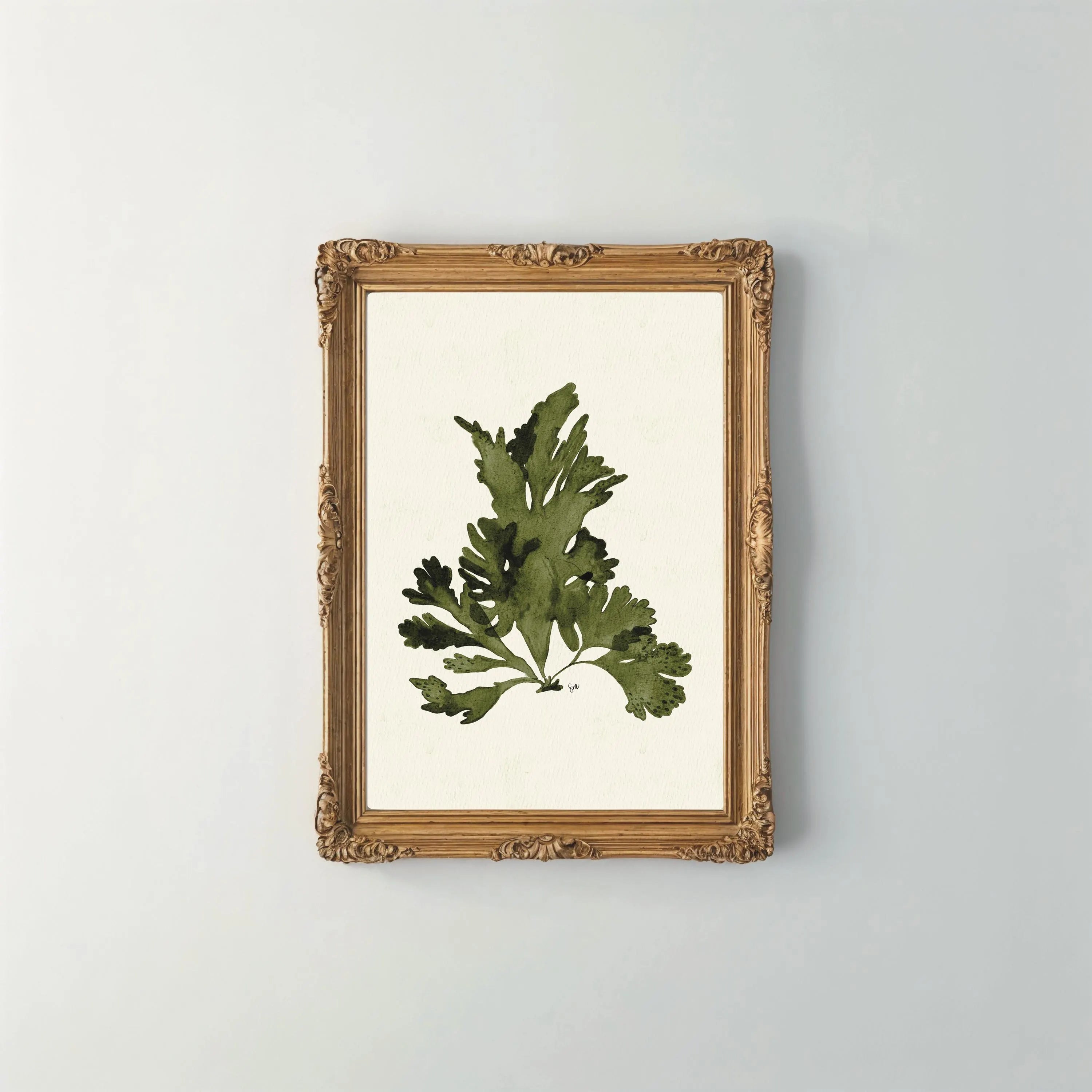 Dulse Seaweed Watercolour Print 8" x 10"